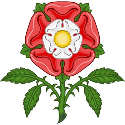 rosa tudor fiore|the tudor rose.